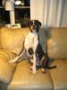 Galler_Doris