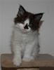 DSC_0083 (2)