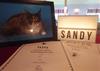 Sandy Arboga