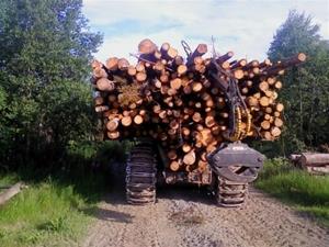 17 ton massaved