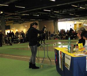IMG_5536 IMG_5536