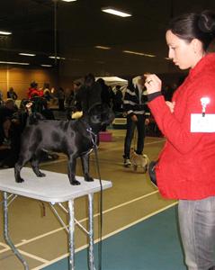 IMG_1067 IMG_1067