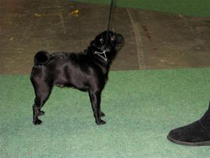 IMG_5528 IMG_5528