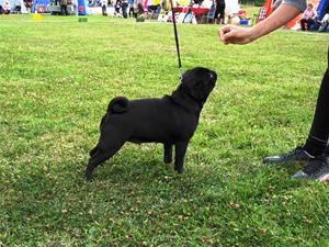 IMG_7005 IMG_7005