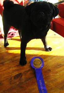 IMG_1732 IMG_1732