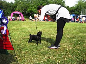 IMG_7010 IMG_7010