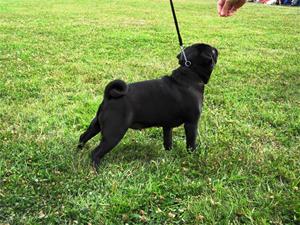 IMG_7006 IMG_7006