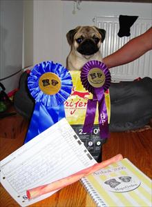 IMG_0030 IMG_0030