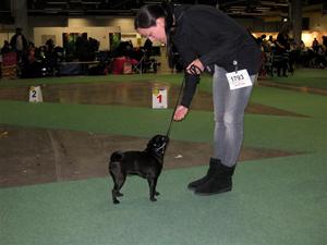 IMG_5531 IMG_5531