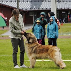 IMG_3371