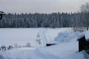 vinterbild-3