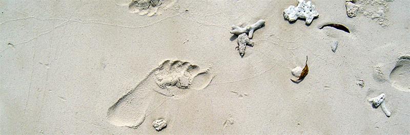 strand strand