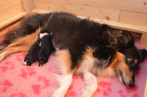 DSC_0586 DSC_0586