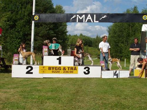 Athena3aSM2003 Athena3aSM2003