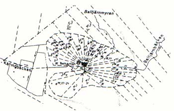 baltjarn