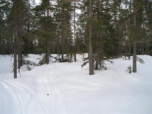 P1010054