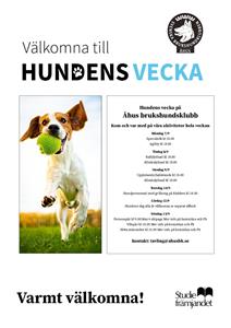 thumbnail_Hundens vecka sep-2020