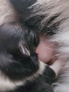 20190715_144404 20190715_144404
