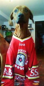 Louie i sin Luleå hockeymatchtröja:))