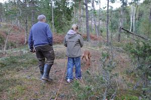 Ayla i startgropen