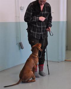 Louie och matte Eva