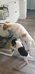Nina hjälper mamma sunni med disken