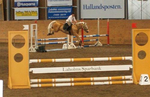 Hajnalhopp1