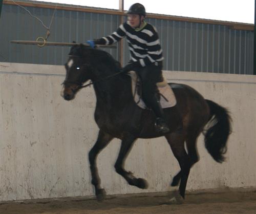 Ringridning3
