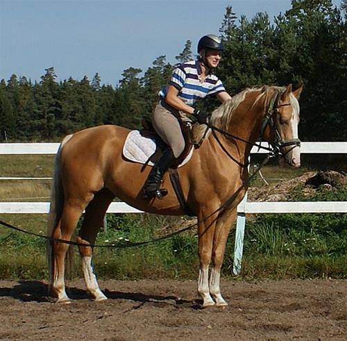 Goldsteinrid4