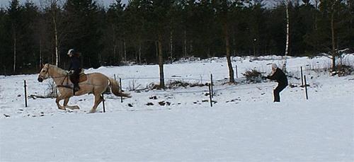 tolkning1 tolkning1
