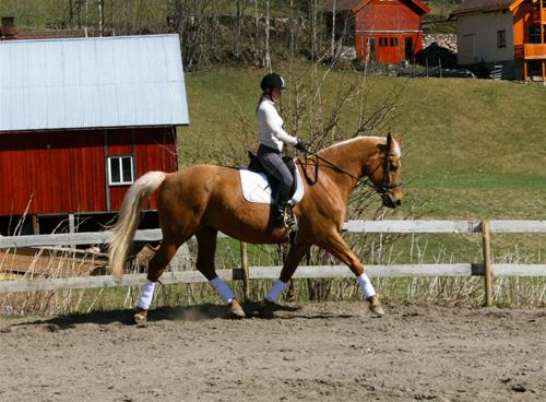 Balette3 Balette3