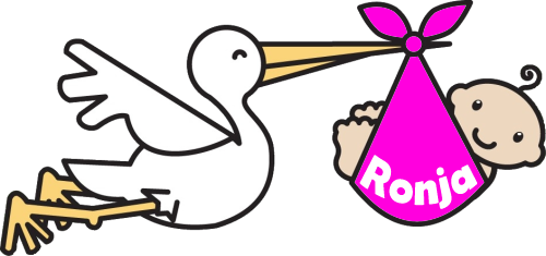 Stork