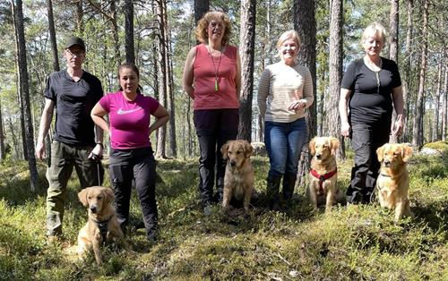 spårkurs3 spårkurs3