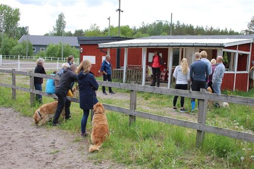 Valpträff9.2020 Valpträff9.2020