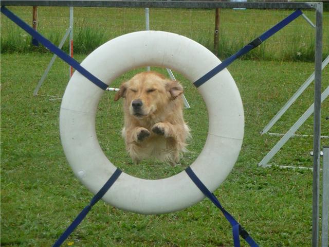 Karma.agility Karma.agility
