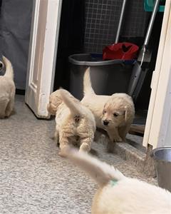 IMG_20201105_235350