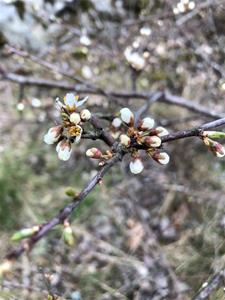 thumbnail_IMG_2702 thumbnail_IMG_2702