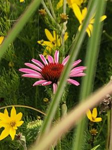 IMG_3395 IMG_3395