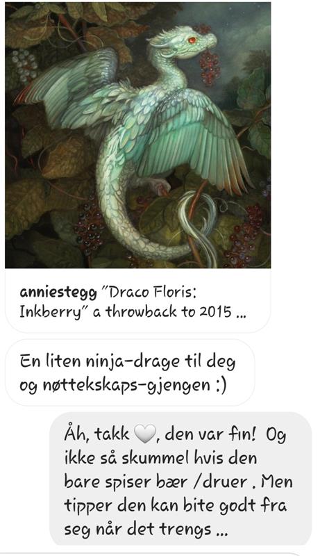 Ninjadragehilsen Ninjadragehilsen