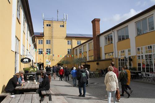 IMG_9616 IMG_9616