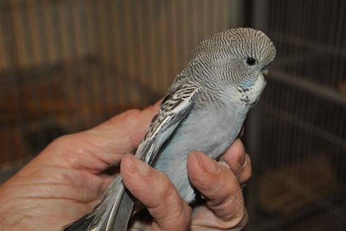 DSC_2189 DSC_2189
