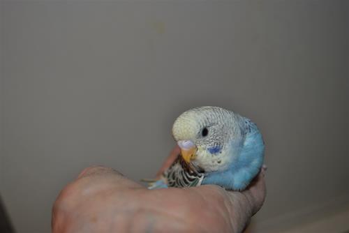 DSC_2151 DSC_2151