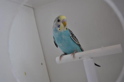 DSC_2248 DSC_2248