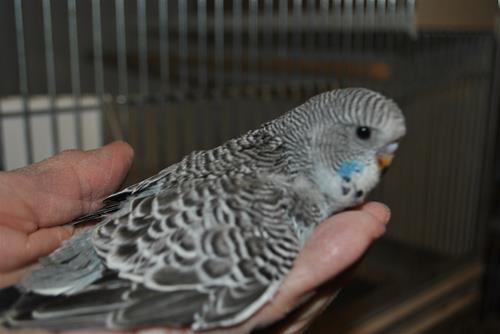 DSC_2097 DSC_2097