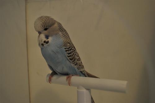 DSC_2047 DSC_2047