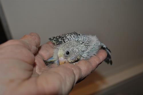DSC_2156 DSC_2156