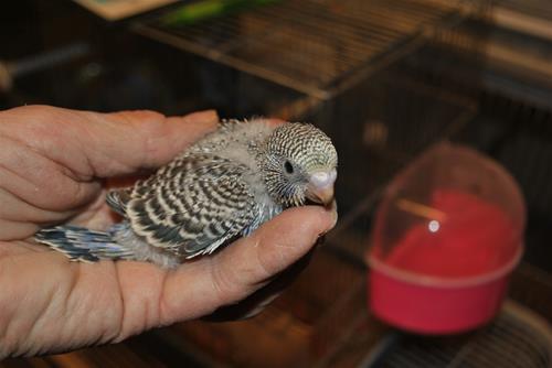 DSC_2158 DSC_2158