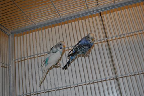DSC_2022 DSC_2022