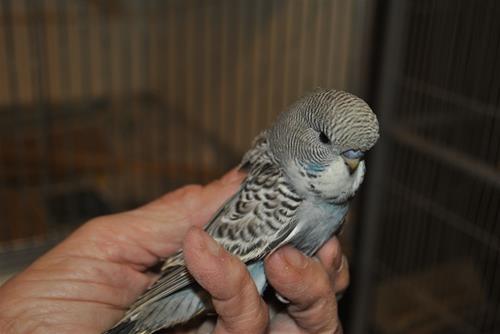 DSC_2191 DSC_2191