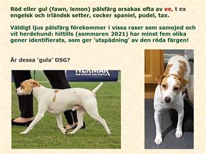 Hilde18